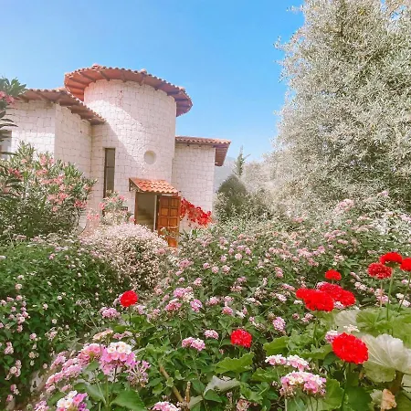 Club Barbarossa Villas Kaş