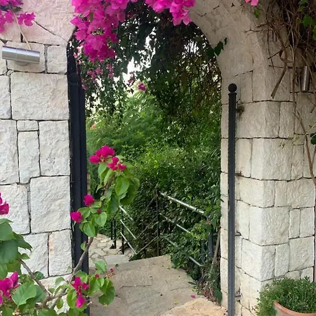 Villa Club Barbarossa Kaş