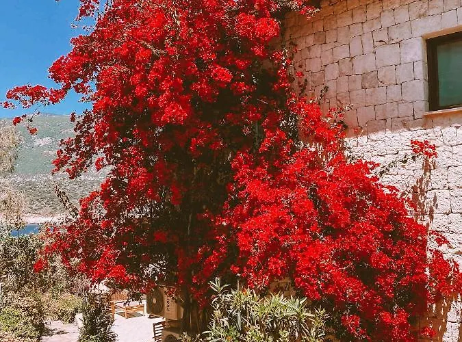 Villa Club Barbarossa Villas *