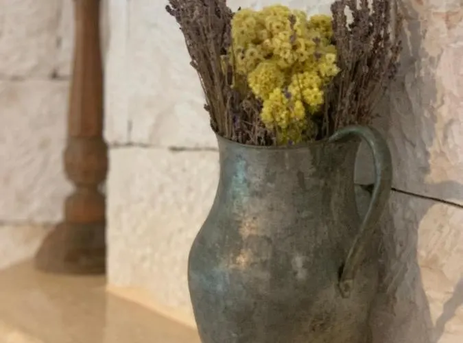 Club Barbarossa Villas * Kaş