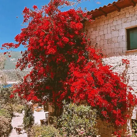 别墅 Club Barbarossa Villas *