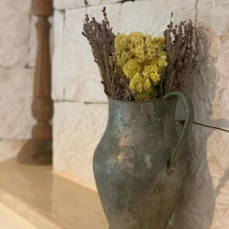 Club Barbarossa Villas * Kaş