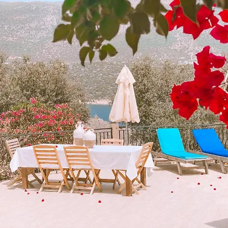 Club Barbarossa Villas 别墅 *