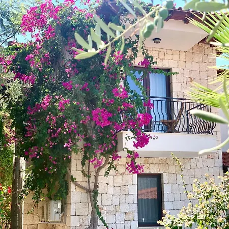 Villa Club Barbarossa Villas