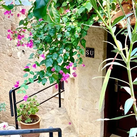 Club Barbarossa Villas Kas