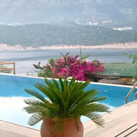 Villa Club Barbarossa Villas Kas