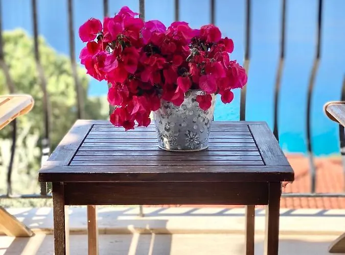 Club Barbarossa Villas Villa Kaş